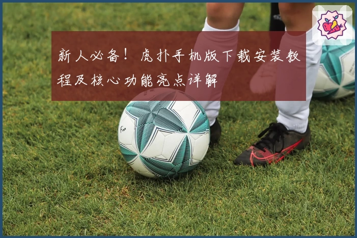 新人必备！虎扑手机版下载安装教程及核心功能亮点详解