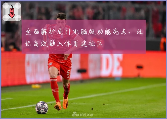 全面解析虎扑电脑版功能亮点，让你高效融入体育迷社区