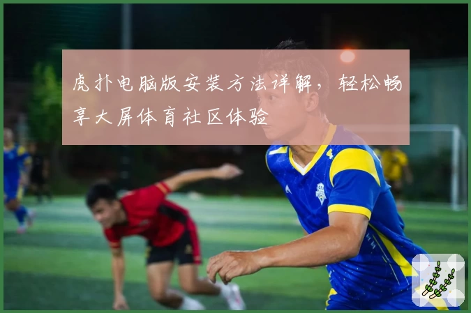虎扑电脑版安装方法详解，轻松畅享大屏体育社区体验