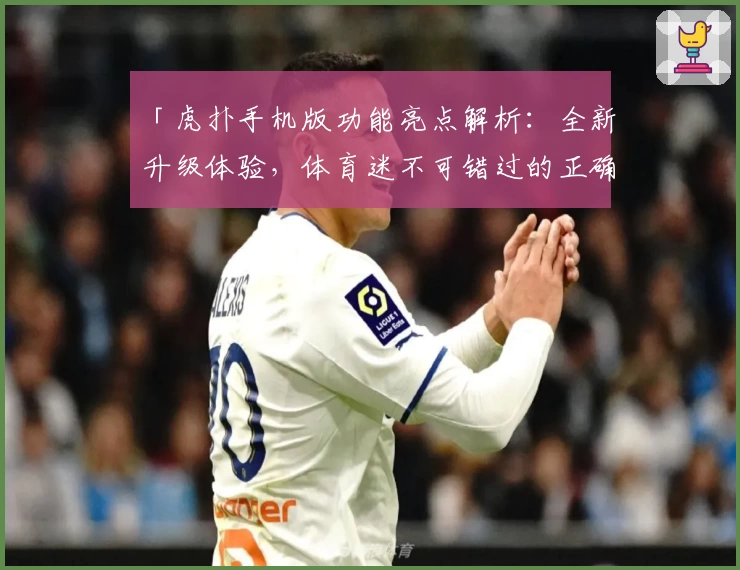 「虎扑手机版功能亮点解析：全新升级体验，体育迷不可错过的正确打开方式」